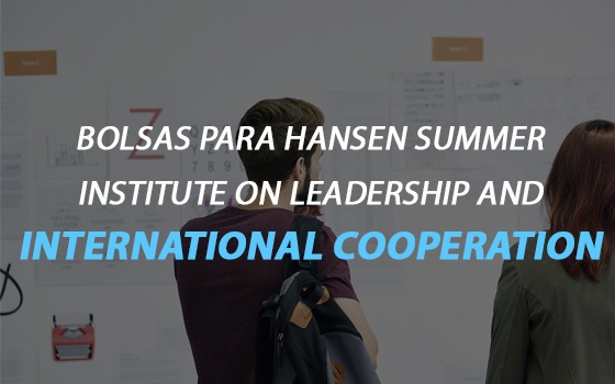 Hansen Summer Institute on Leadership and International Cooperation Scholarships