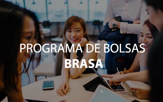 Programa de Bolsas - BRASA
