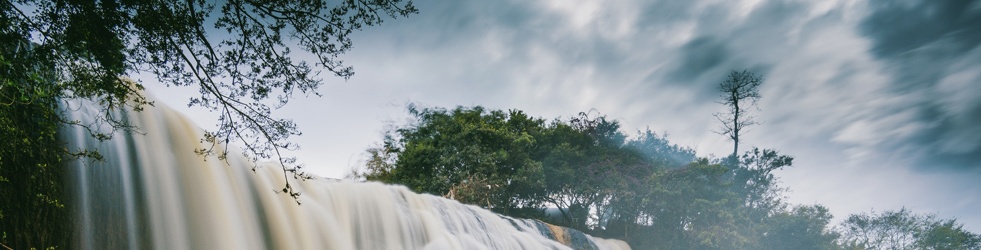 MEIO AMBIENTE: O Meu Presente e o Meu Futuro