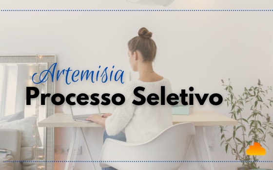 Artemisia: Processo Seletivo