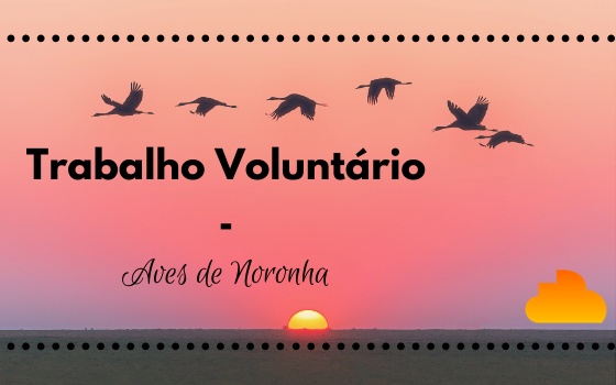 Trabalho Voluntário - Aves de Noronha 