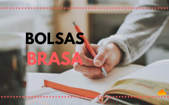 Bolsas BRASA 2021